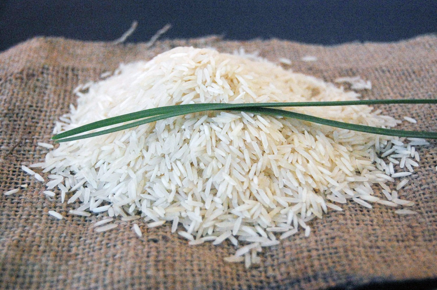 rice export