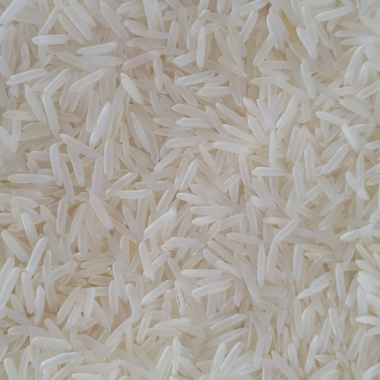 1121 Rice