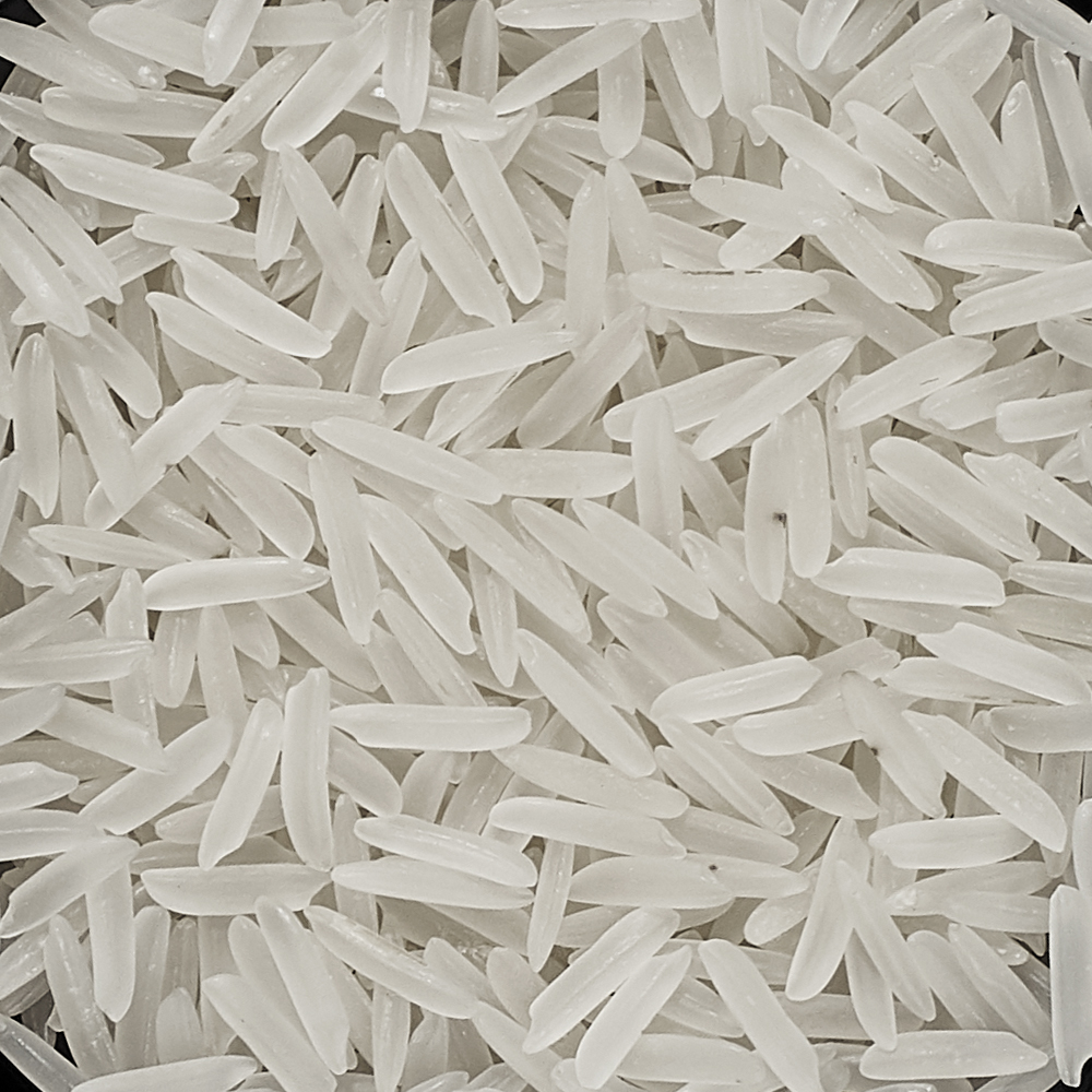 1509 Basmati Rice