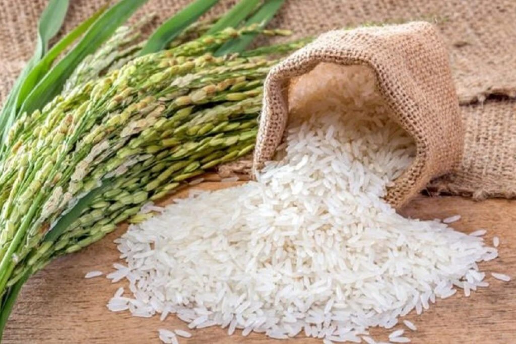export basmati rice from india