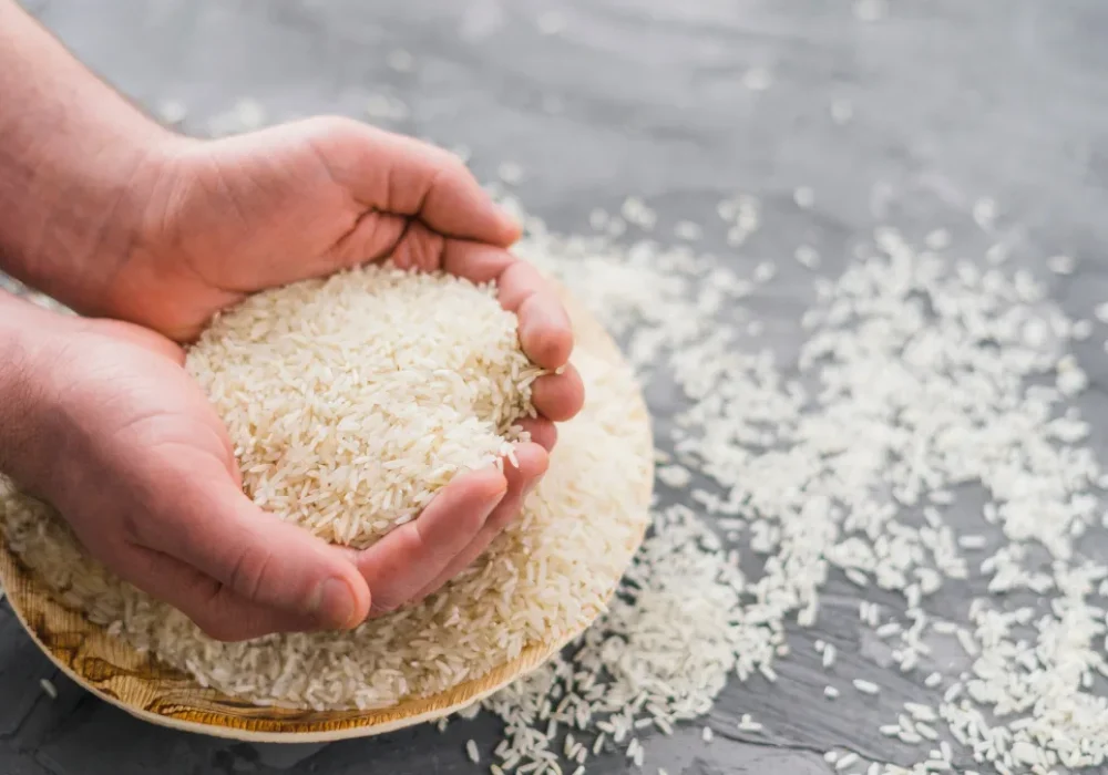 Indian-Rice-Exporters-Are-Meeting-Global-Quality-Standards